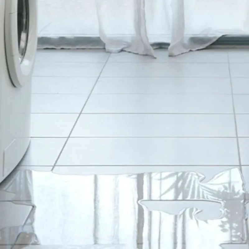 Appliance Leak Cleanup in Perry, IA