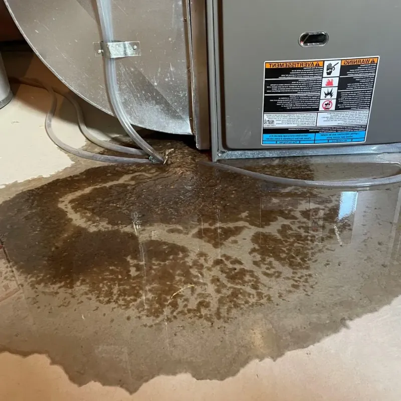Pipe Burst and Leak Restoration in Perry, IA