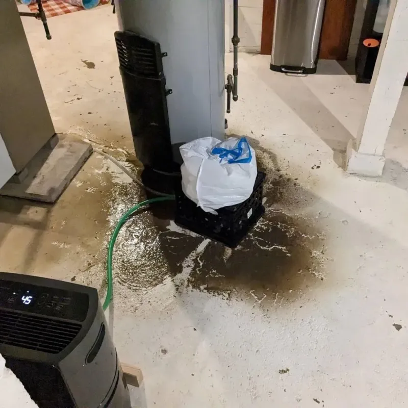 Sewage Backup Cleanup Service in Perry, IA